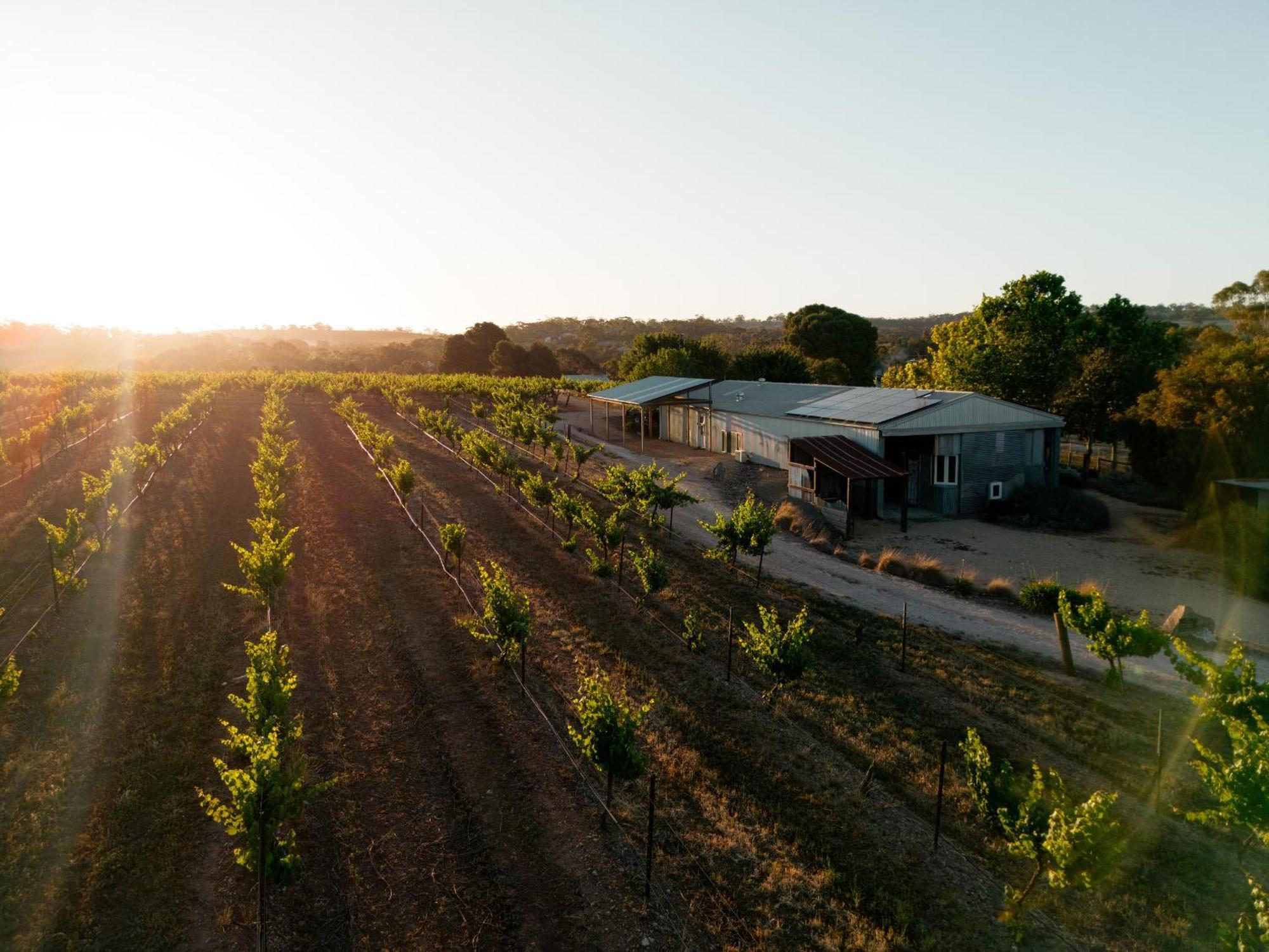 Bed In A Shed Vineyard Stay Watervale エクステリア 写真